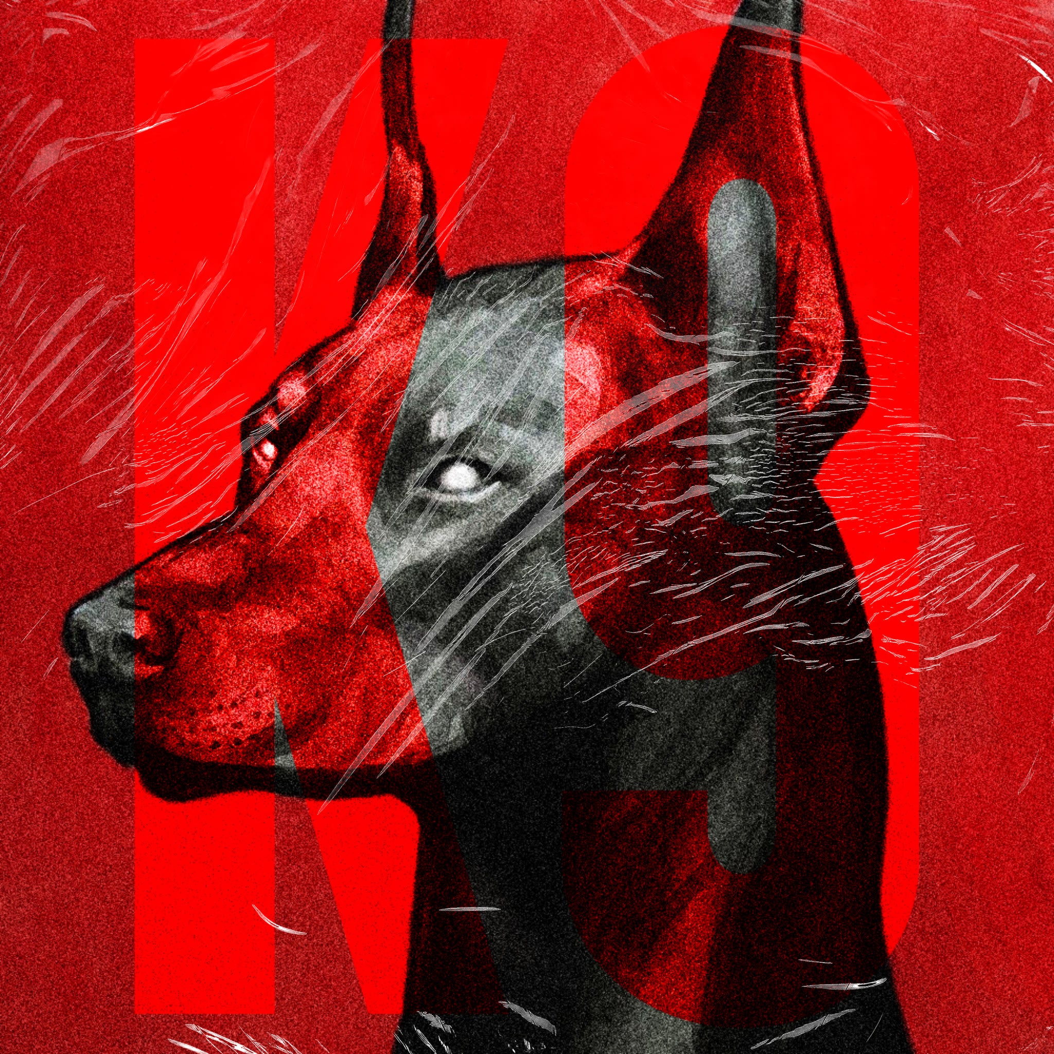 Dogtone