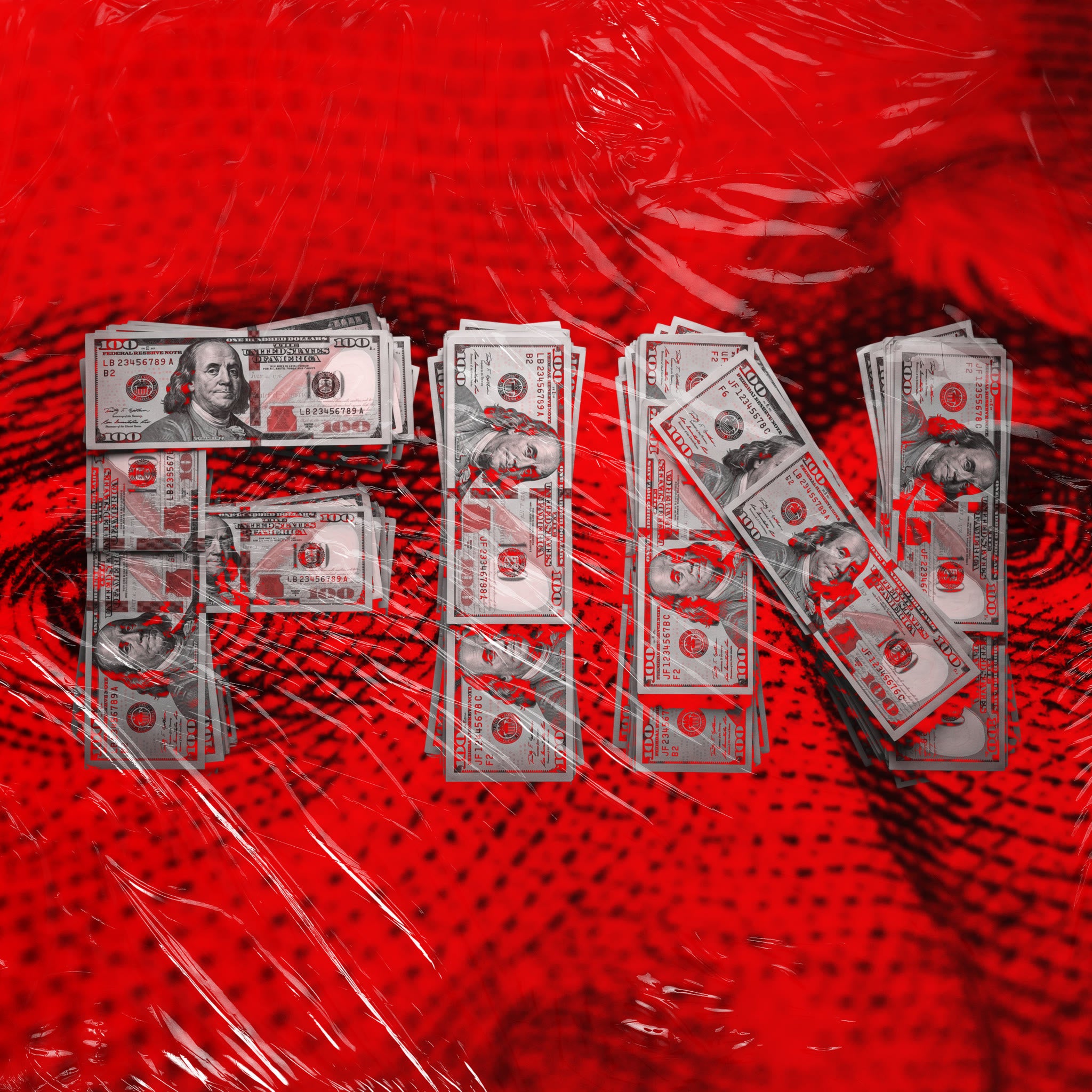 Fin