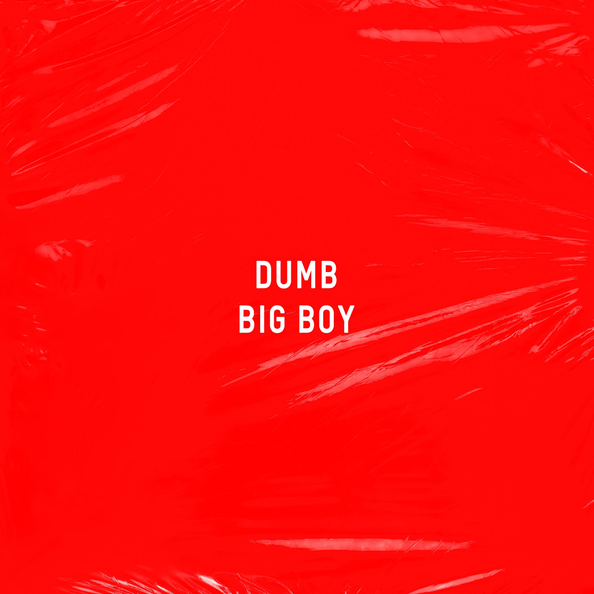 Dumb Big Boy