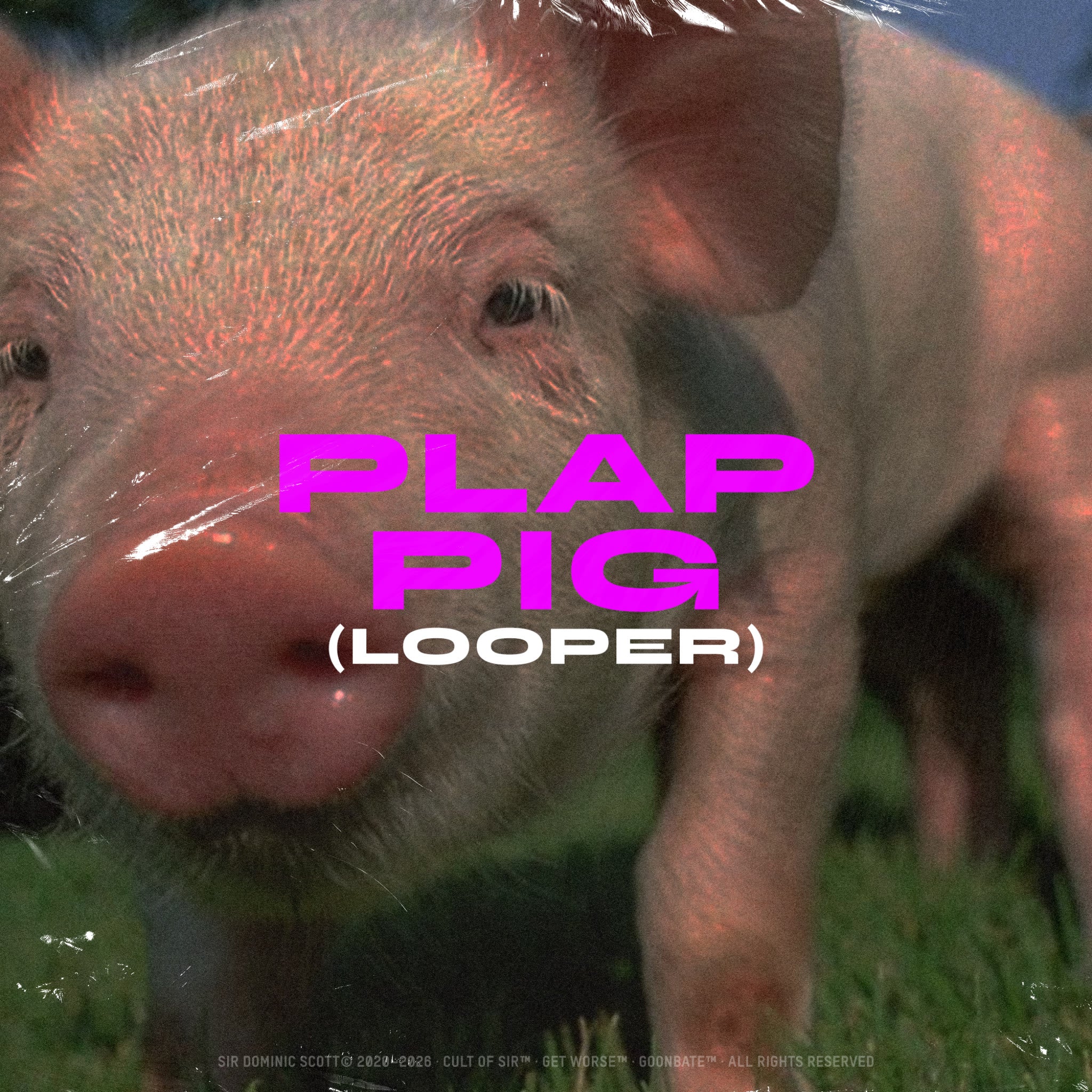 Plap Pig Looper (Unreleased)