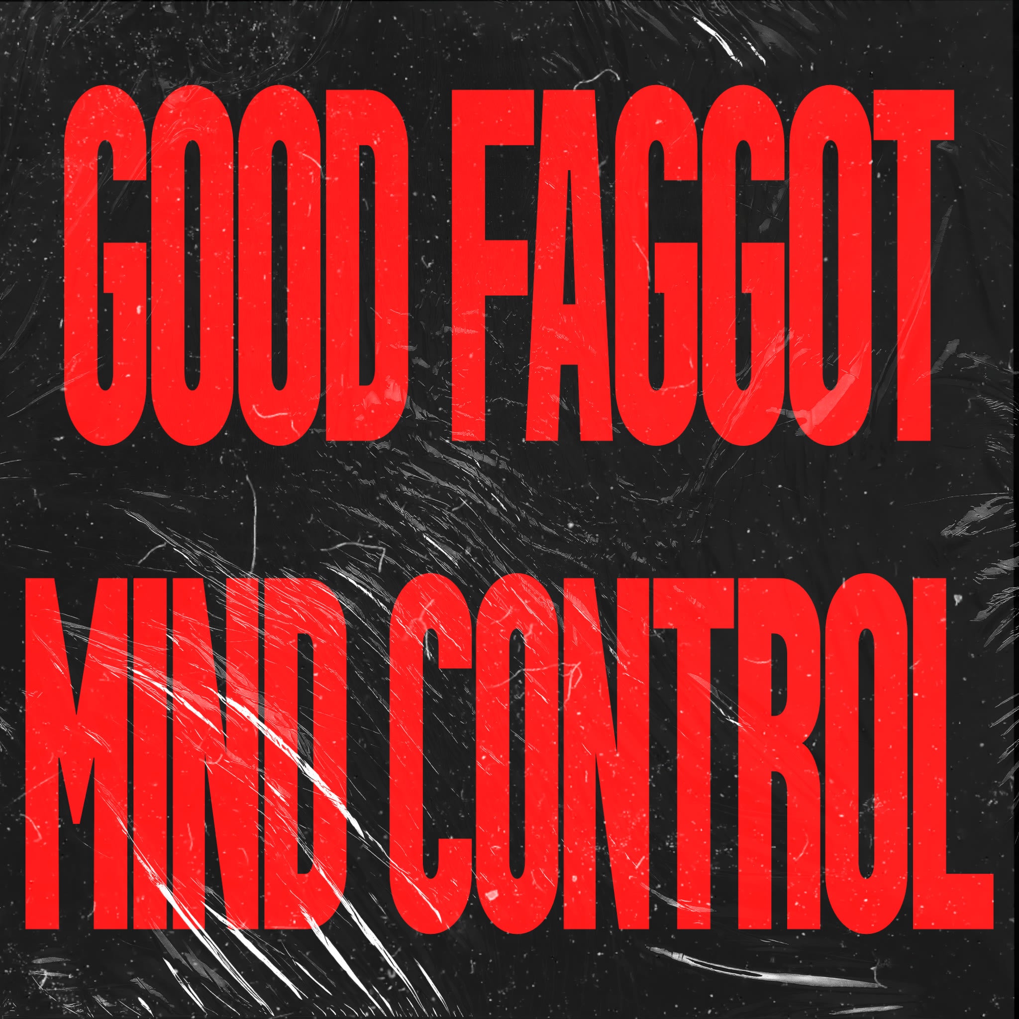 Good Faggot Mind Control