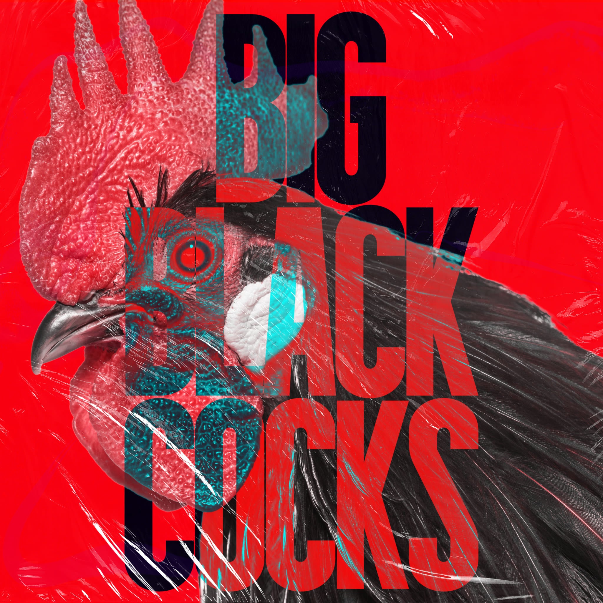 Big Black Cocks