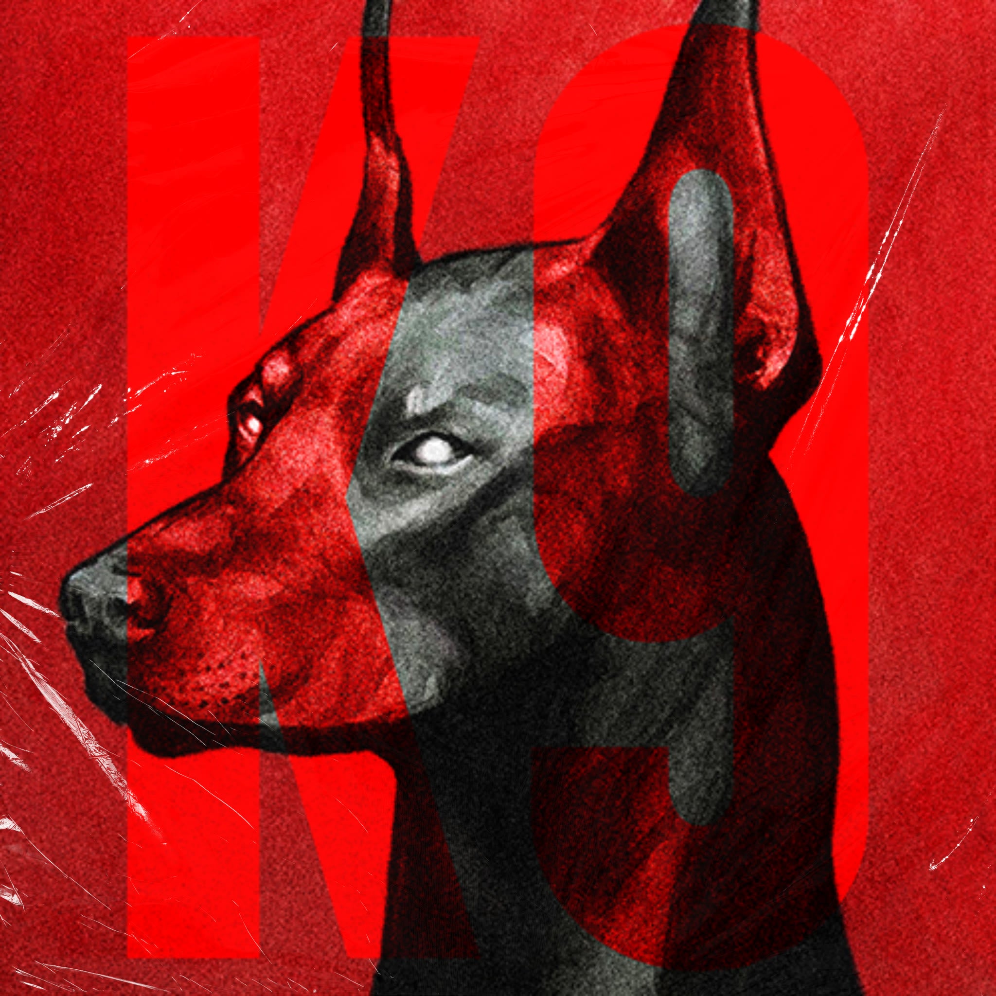 K9