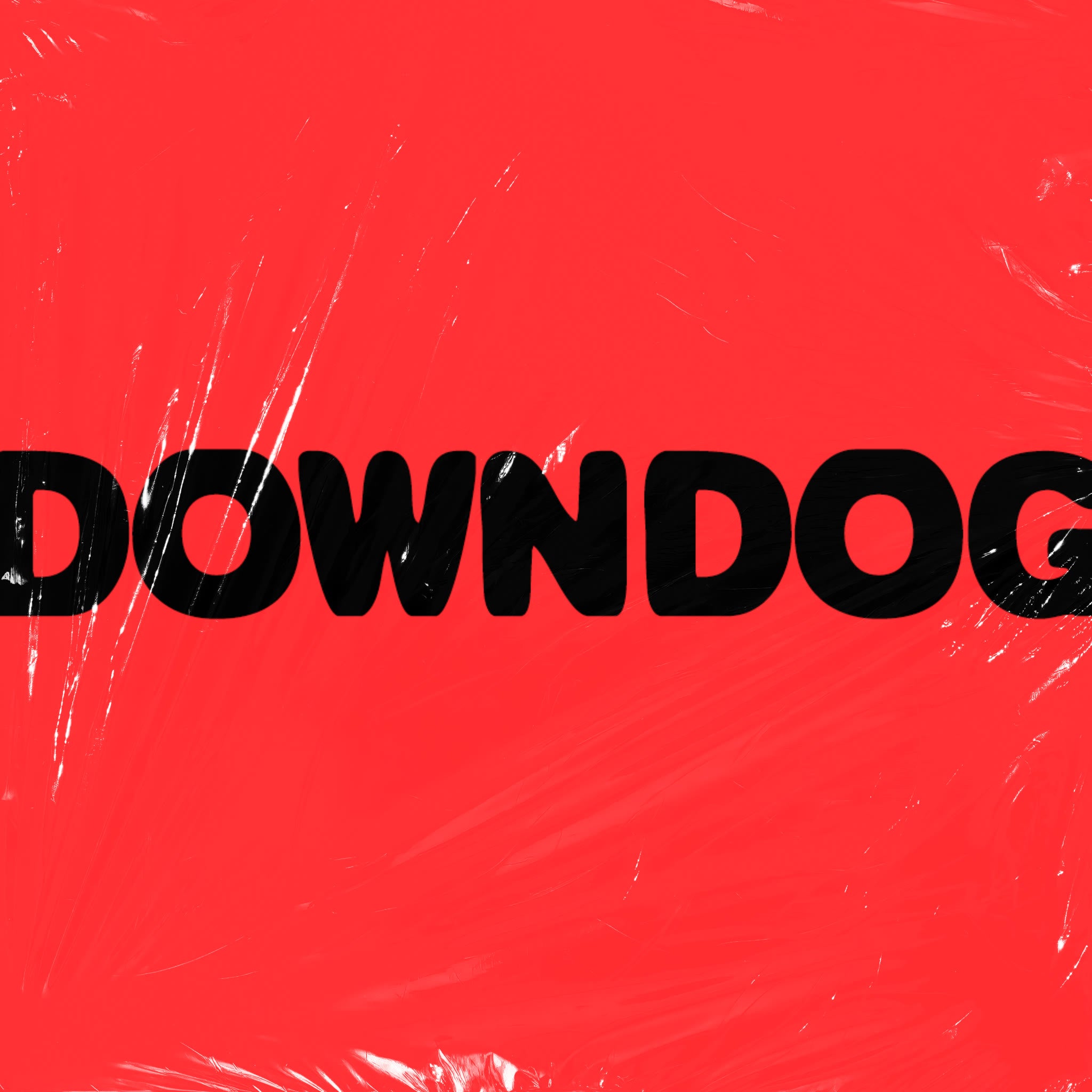 Down Dog
