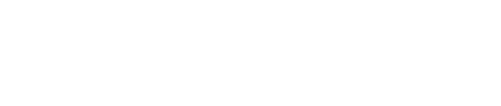 Sir Store